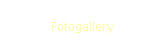 Fotogallery